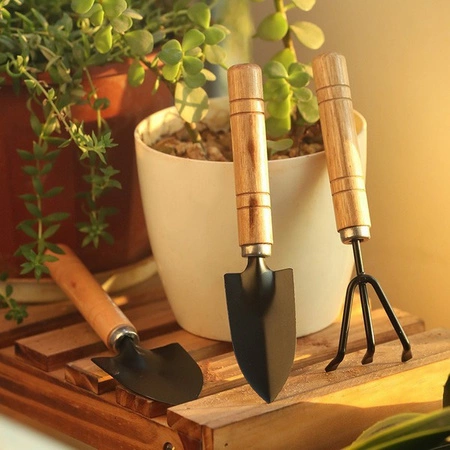 Zestaw mini narzędzi ogrodowych - 3 elementy - drewniane uchwyty
